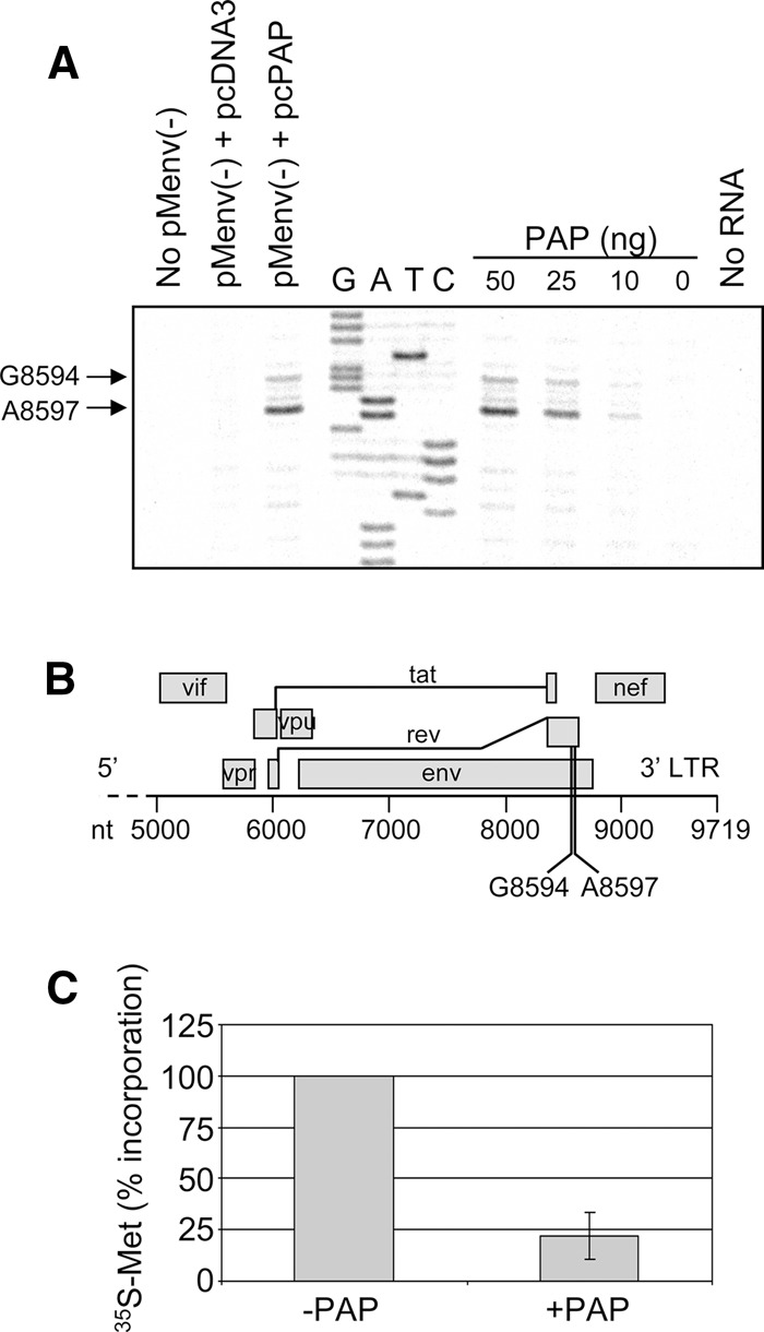 FIGURE 7.