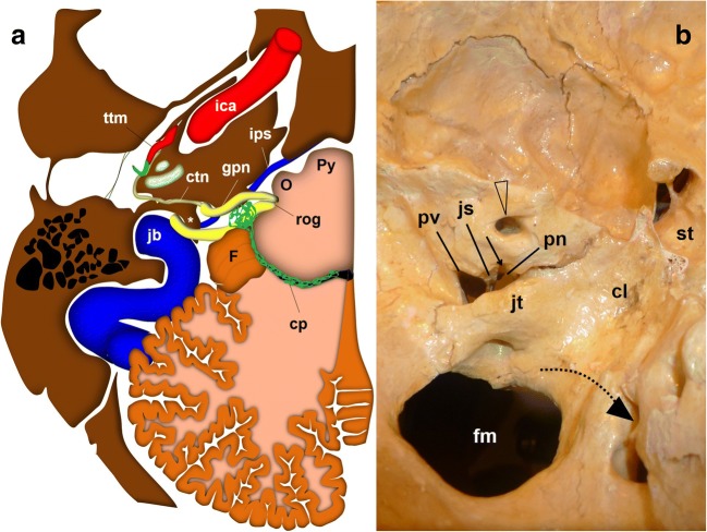 Fig. 2