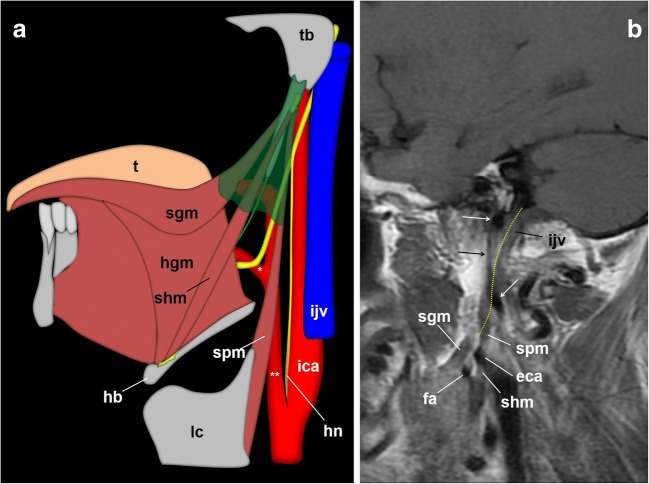 Fig. 9