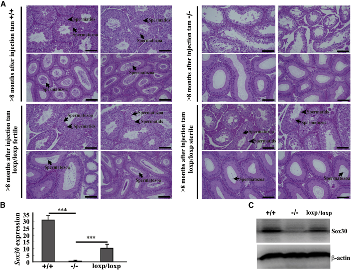 Figure 6