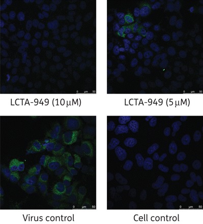 Figure 3.