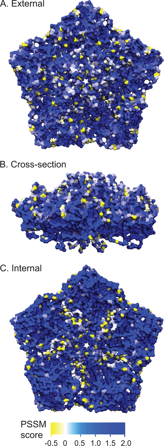 FIG. 6.