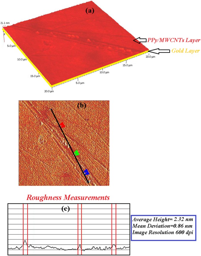 Figure 12