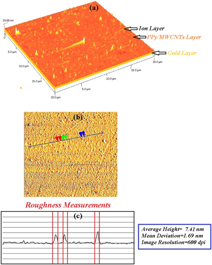 Figure 13