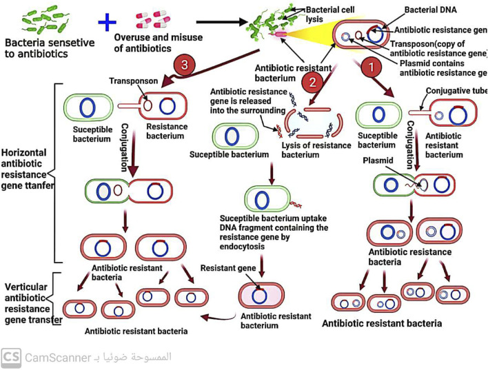 FIGURE 11