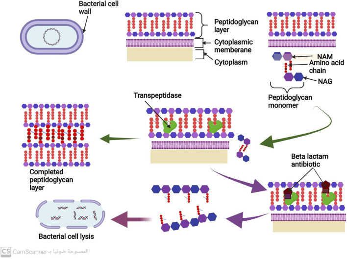 FIGURE 3