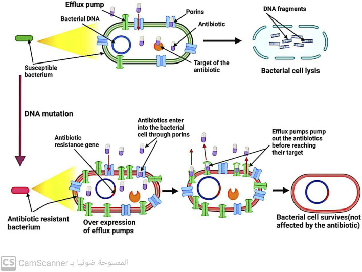 FIGURE 6