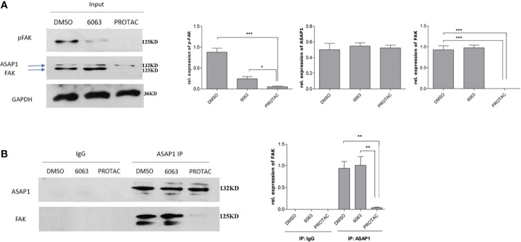 Figure 5