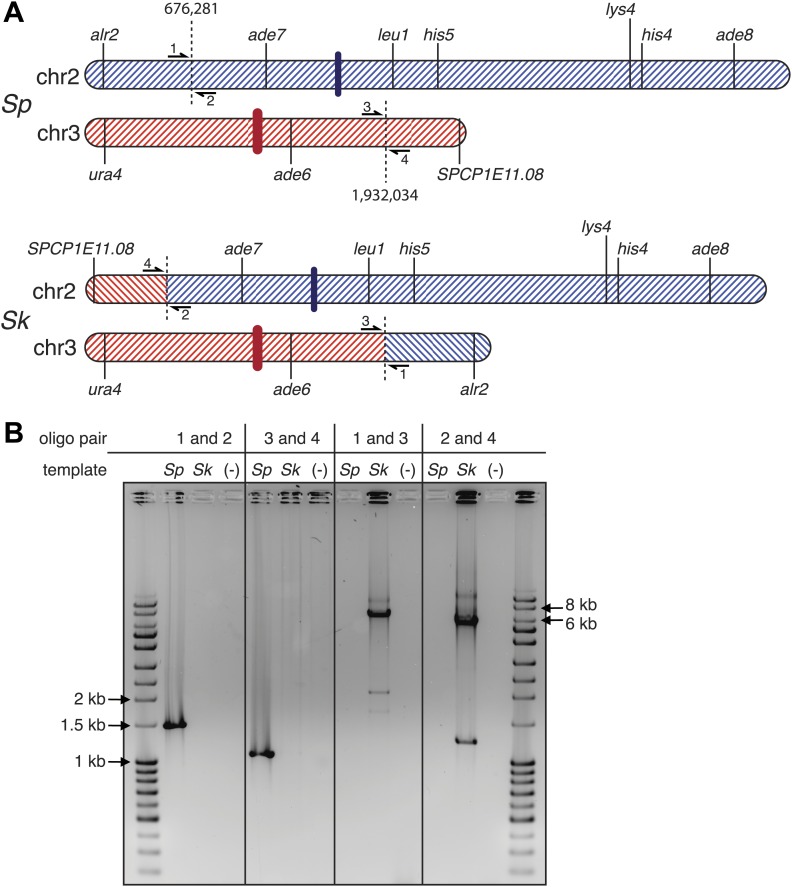 Figure 4—figure supplement 5.