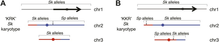 Figure 8—figure supplement 1.