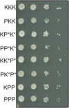 Figure 7.