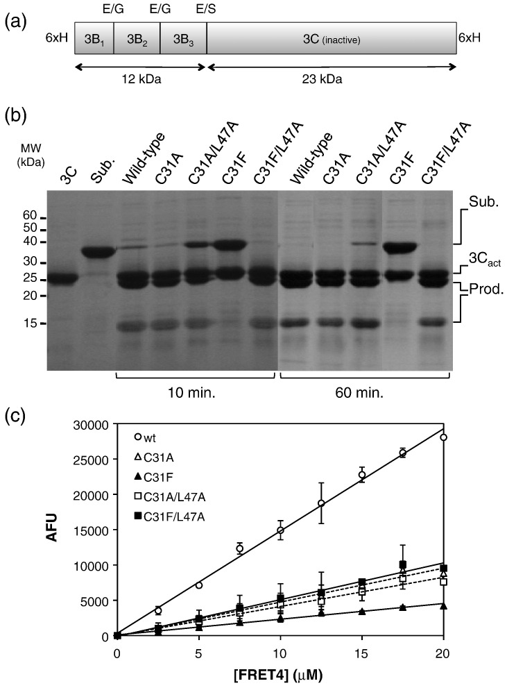 Fig. 3