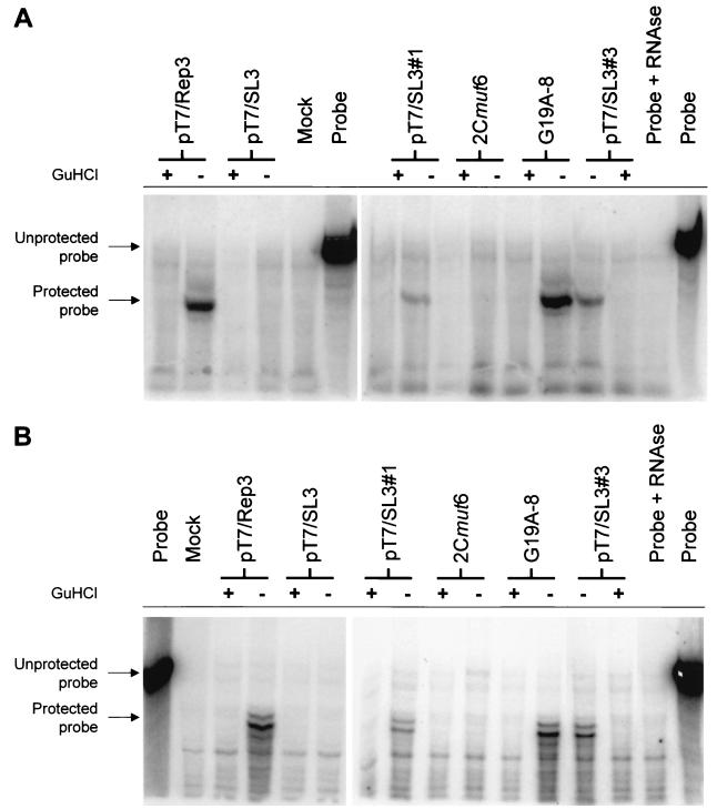 FIG. 5