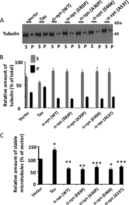 FIGURE 10.