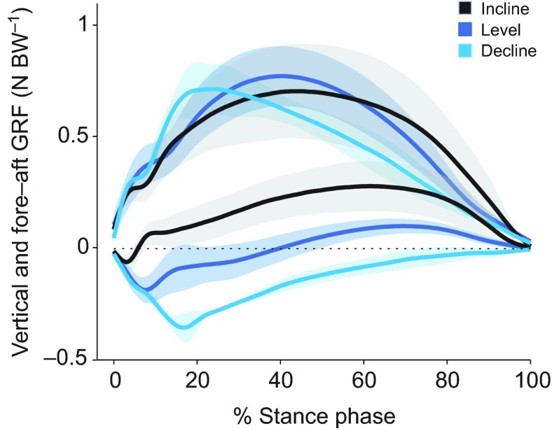 Fig. 10.