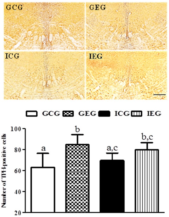 Fig. 4.