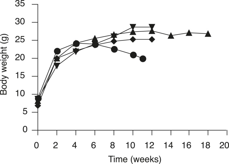 Figure 5.