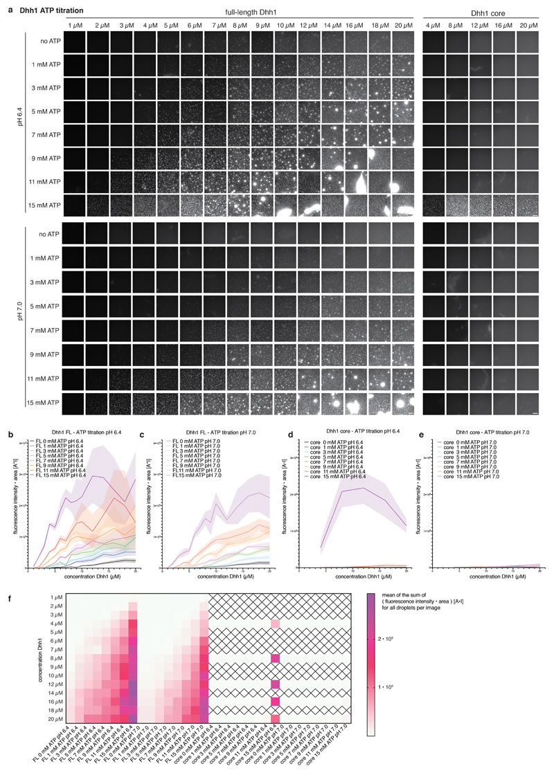 Extended Data Fig. 3