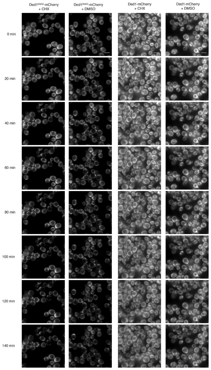 Extended Data Fig. 8