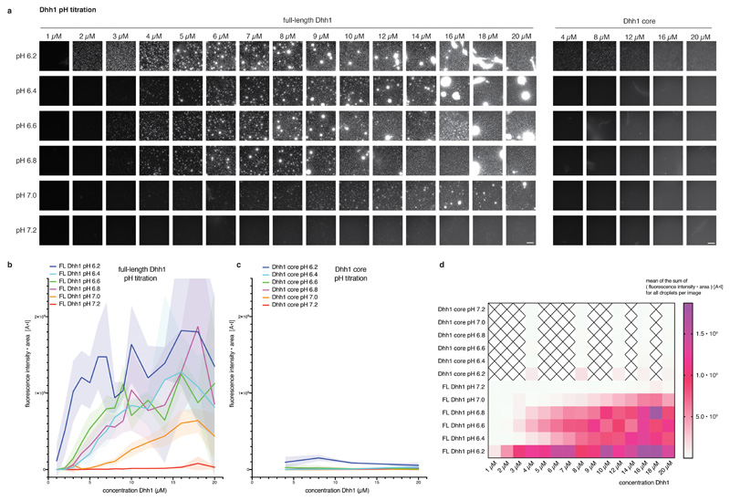 Extended Data Fig. 1