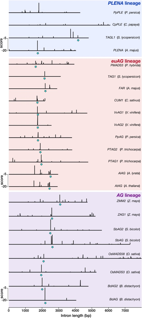 Figure 6.