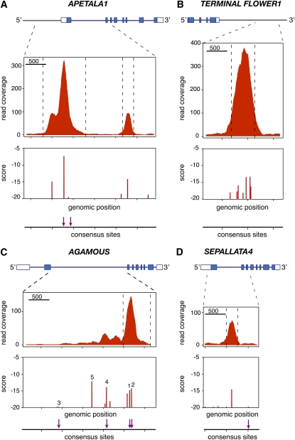 Figure 4.