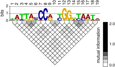 Figure 2.