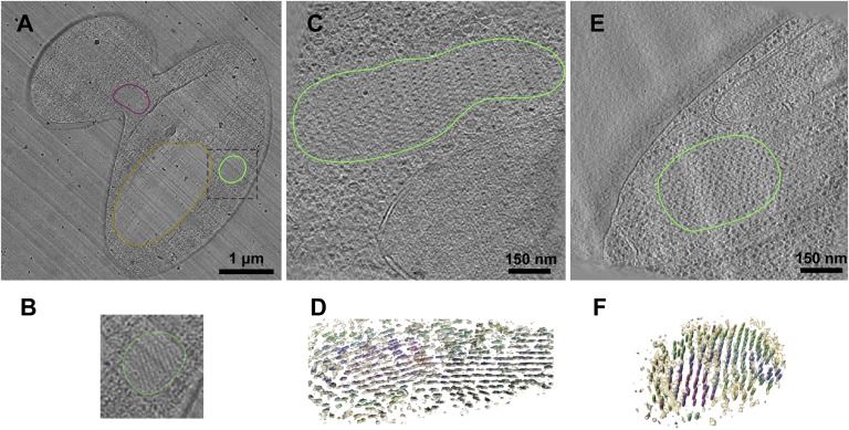 Fig. 2.