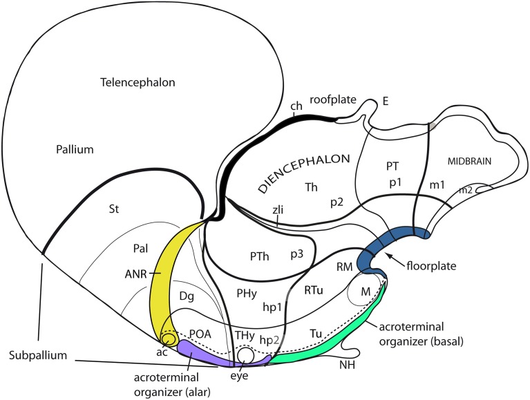 Figure 14