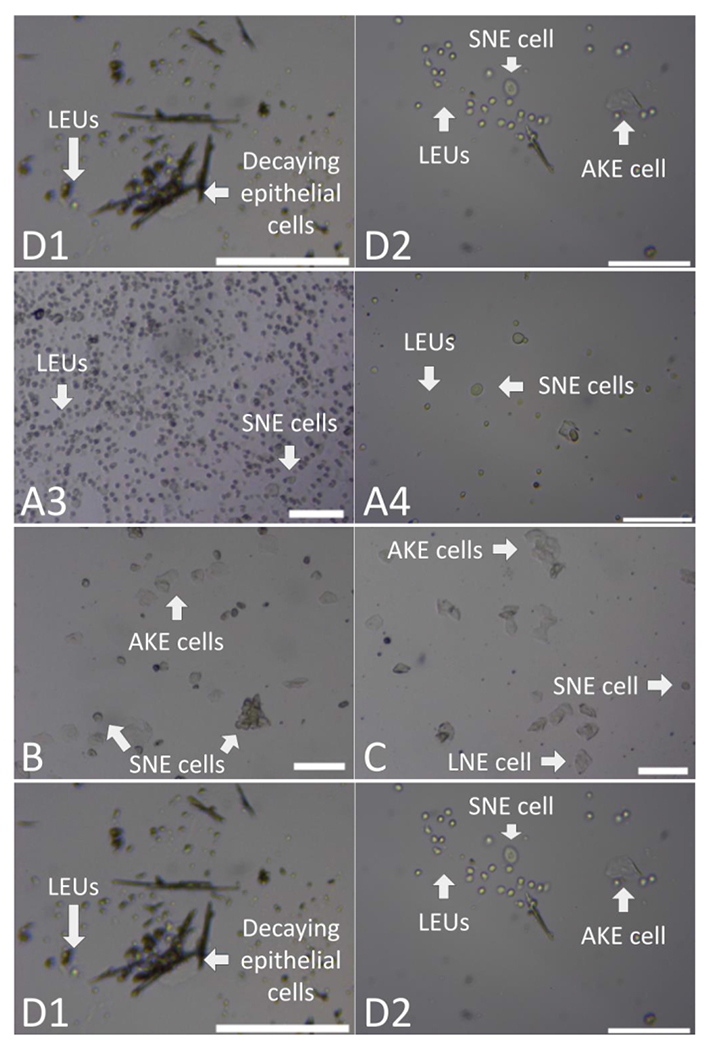 Figure 6: