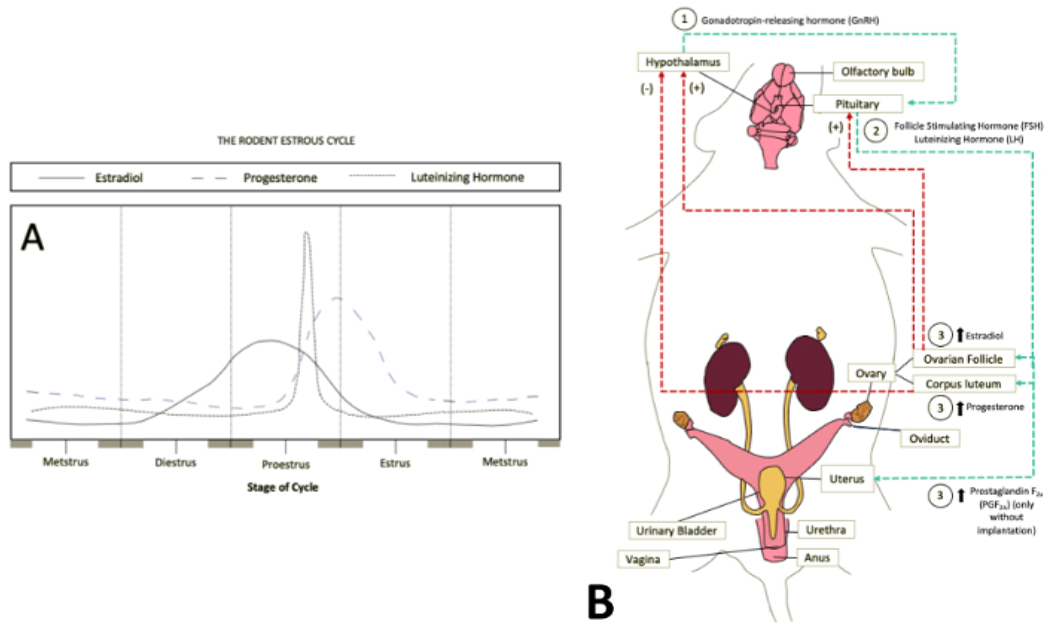 Figure 1: