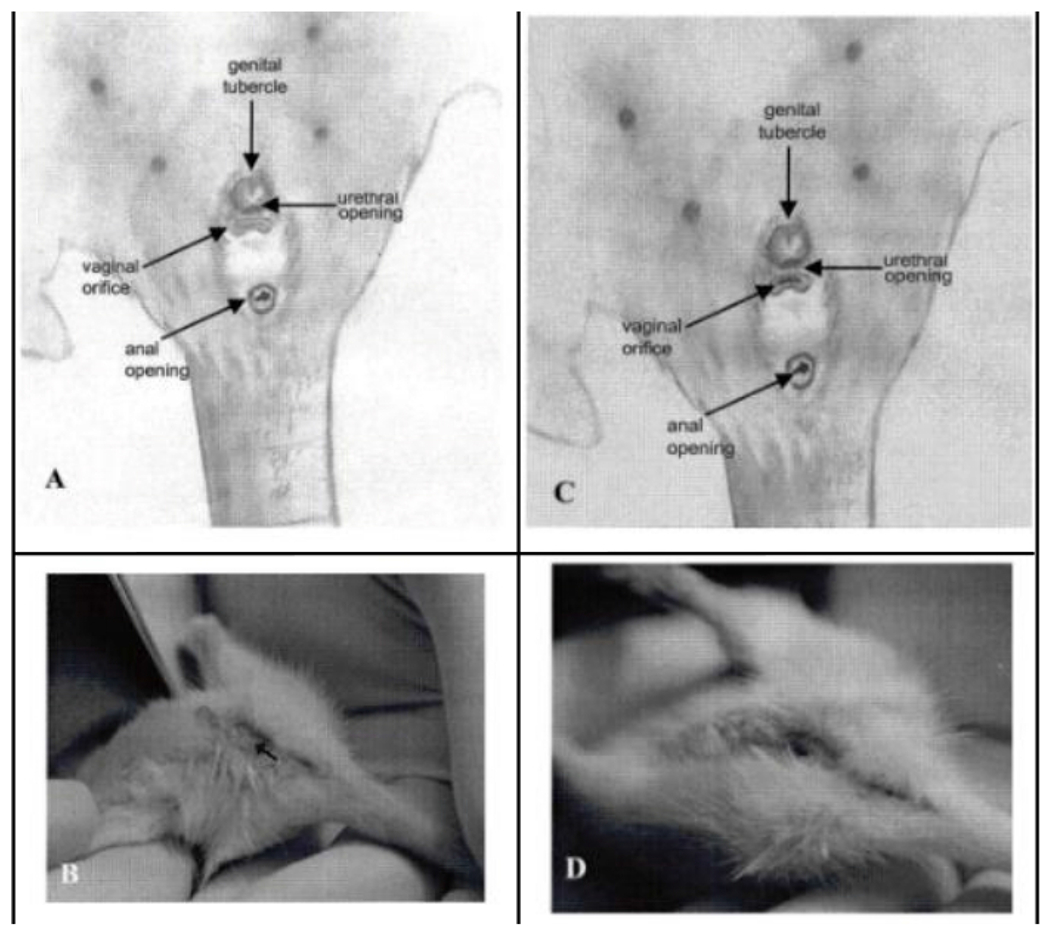 Figure 3: