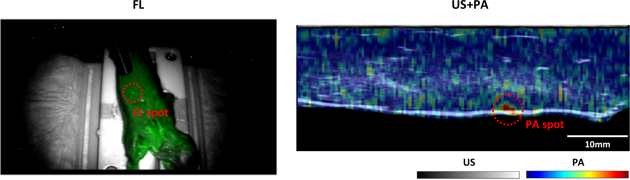 Fig. 7.