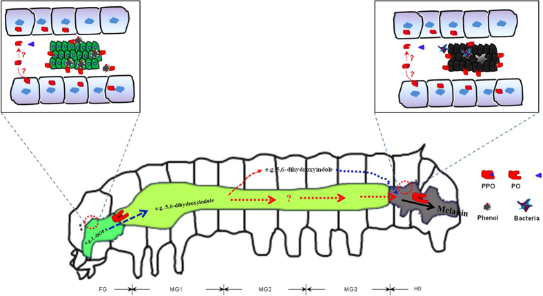 Figure 10