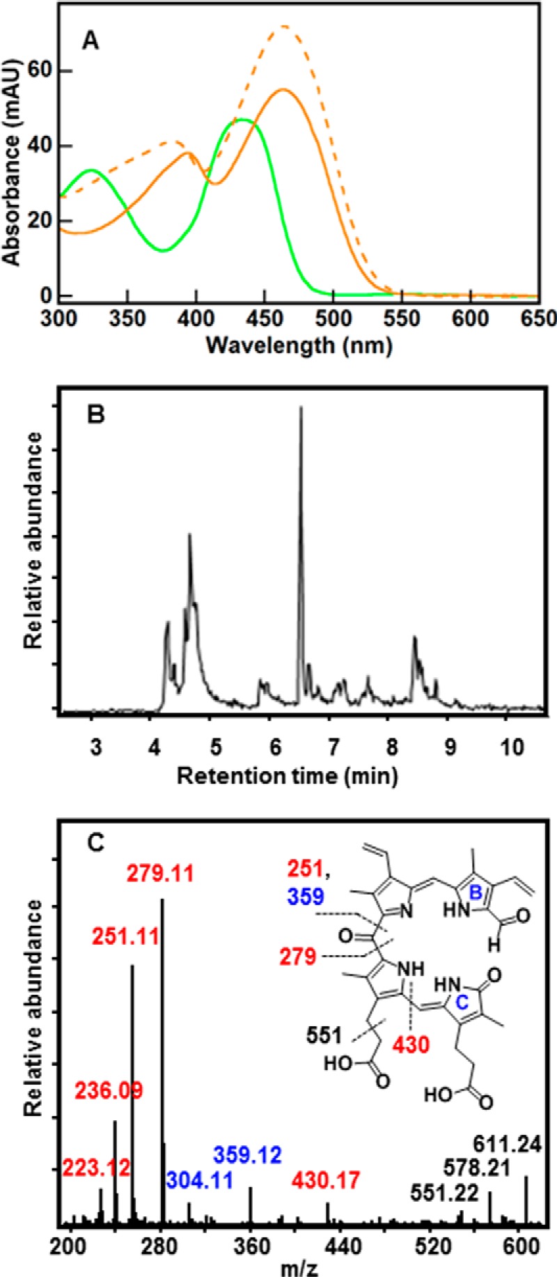 FIGURE 5.