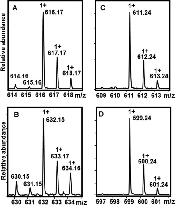 FIGURE 4.