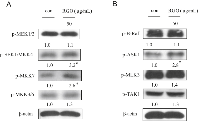 Fig. 6