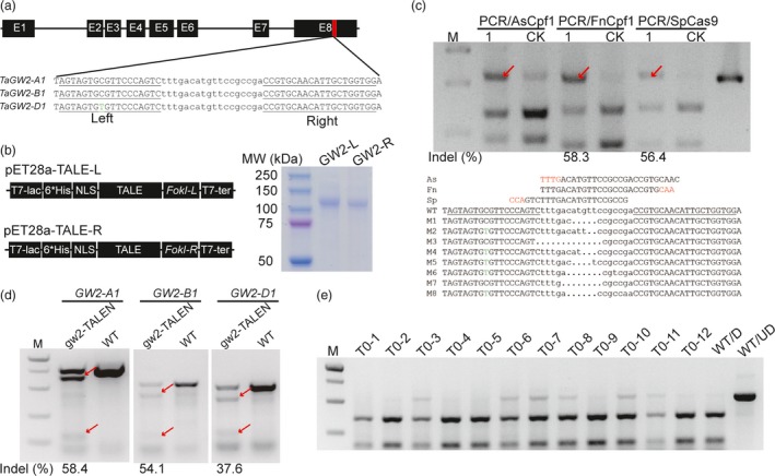 Figure 4