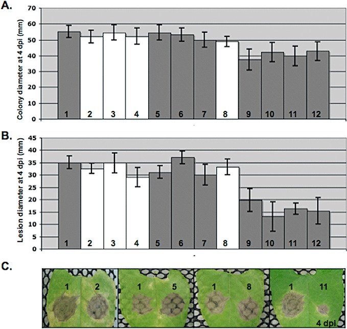 Figure 6