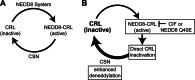 FIGURE 10.