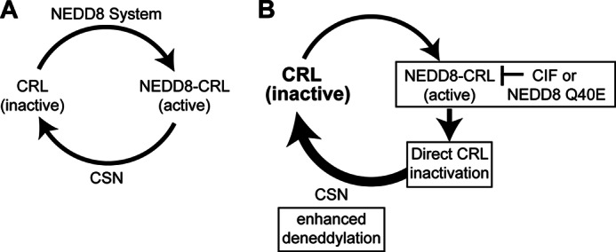 FIGURE 10.