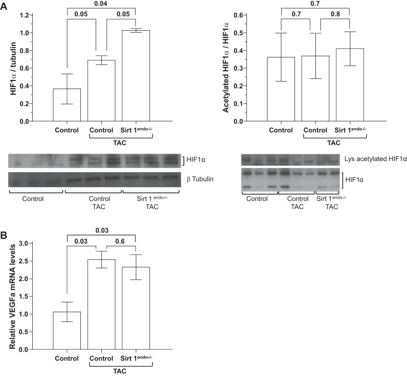 Fig. 12.