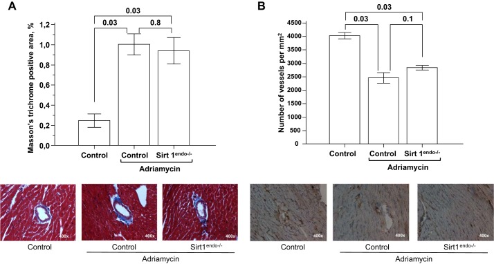 Fig. 14.