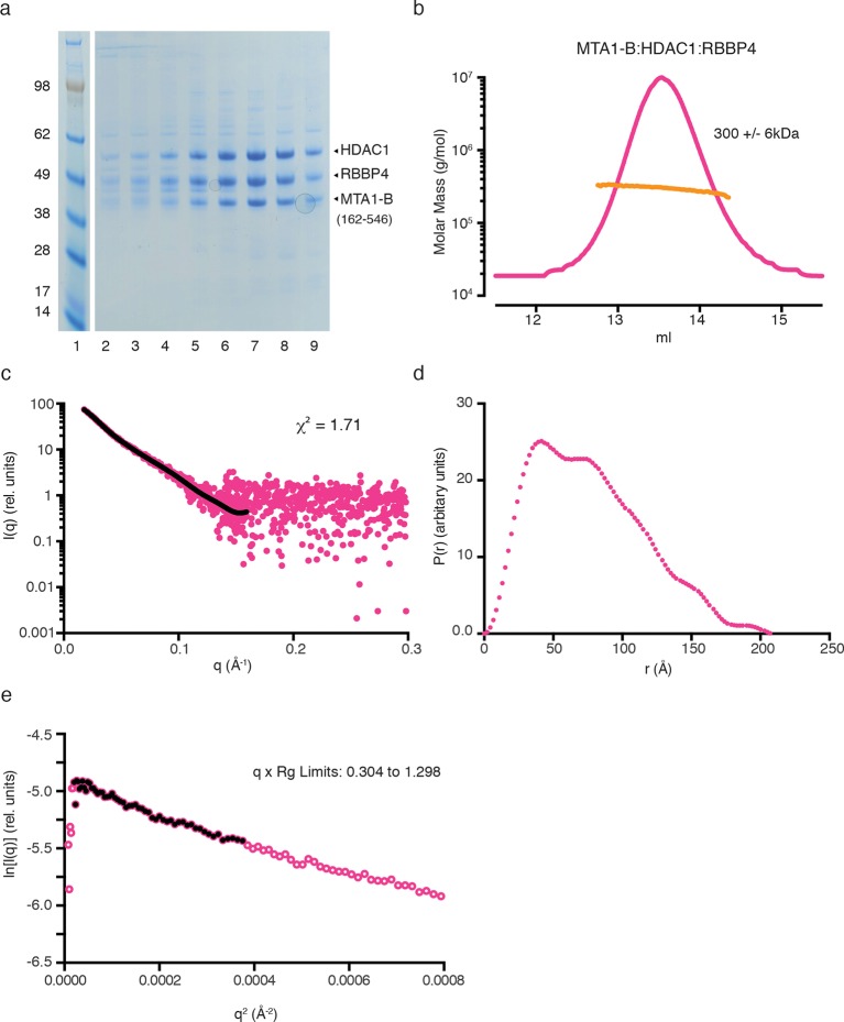 Figure 3—figure supplement 2.