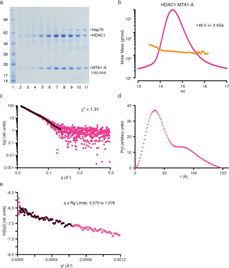 Figure 3—figure supplement 1.