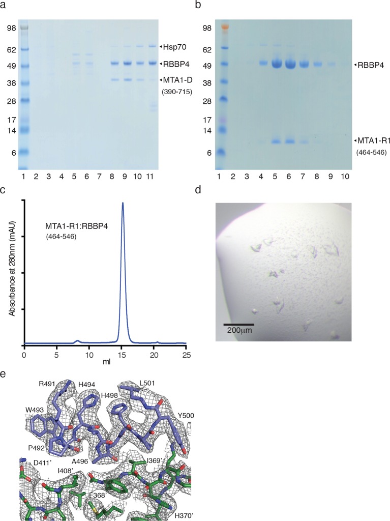 Figure 1—figure supplement 1.