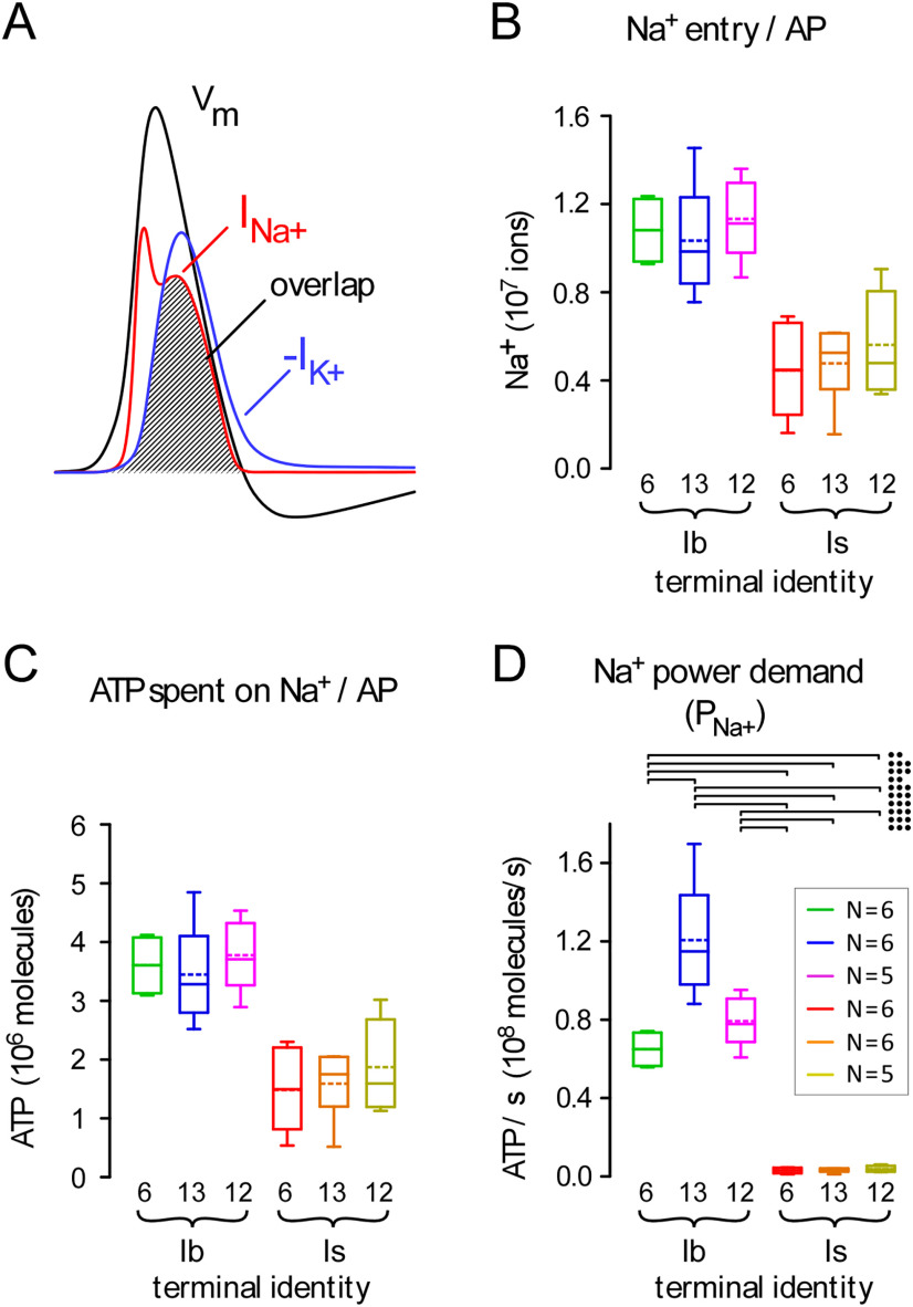 Figure 4.