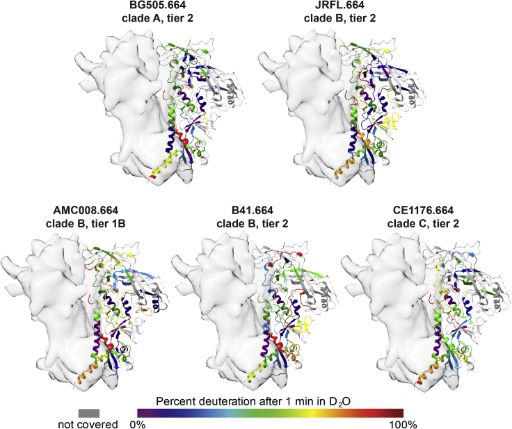 Figure 2