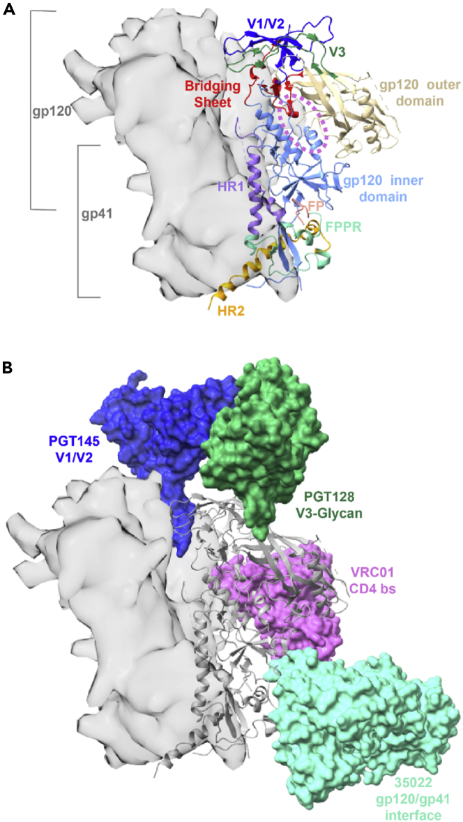 Figure 1