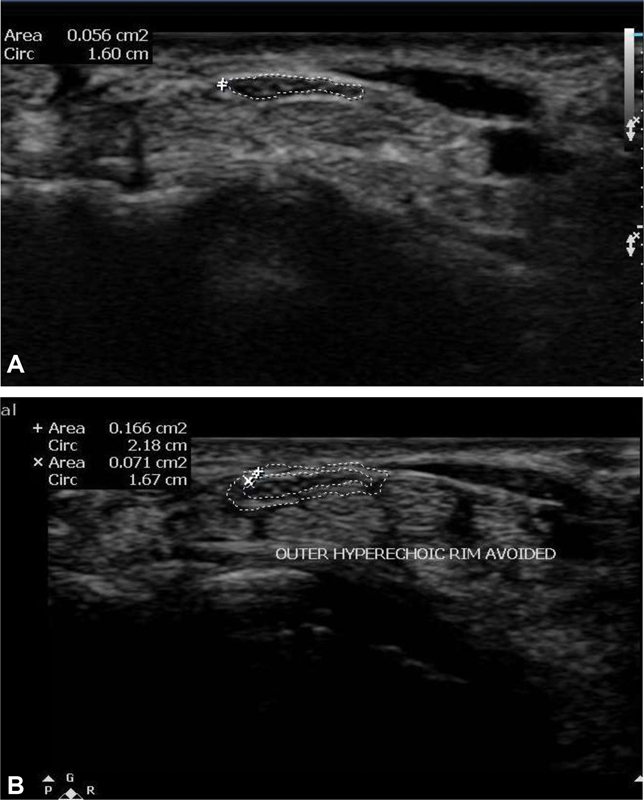 Fig. 5